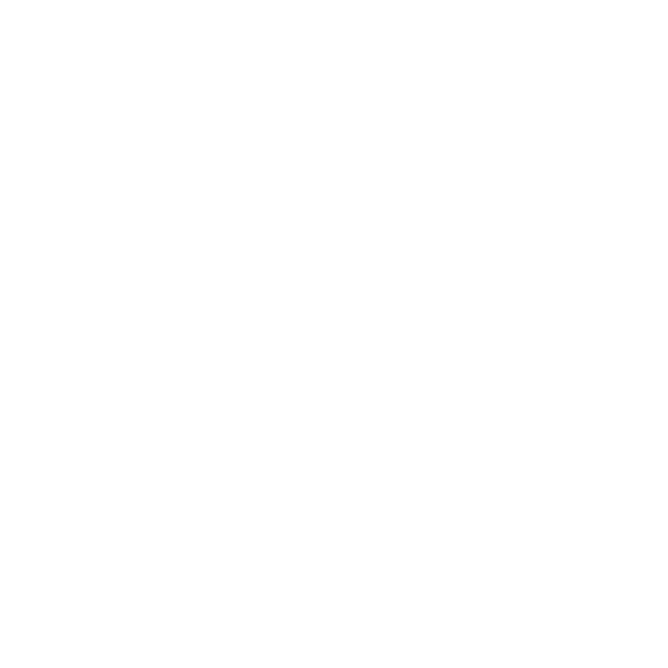 Check Point CCSM Elite